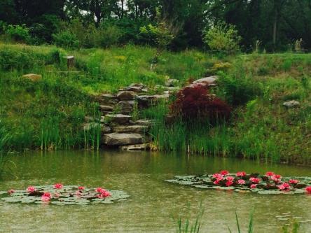 Finger Lakes- Garden in the rain
